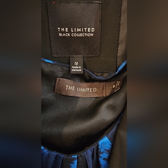 The Limited - Sleeveless Semi-Sheer Blue & Black Abtract Print Dress​​​​​ - Picture 6 of 10